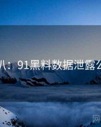 独家深扒：91黑料数据泄露公众心理