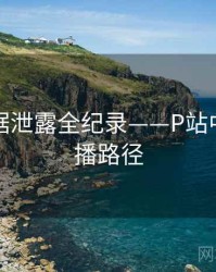 重磅数据泄露全纪录——P站中文版传播路径