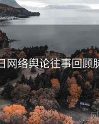 黑料每日网络舆论往事回顾脉络揭秘