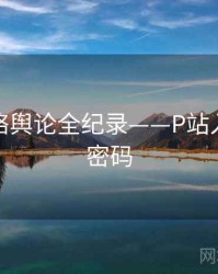 全景网络舆论全纪录——P站入口流量密码