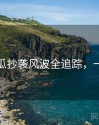 每日吃瓜抄袭风波全追踪，一起深挖