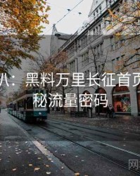 独家深扒：黑料万里长征首页影视揭秘流量密码