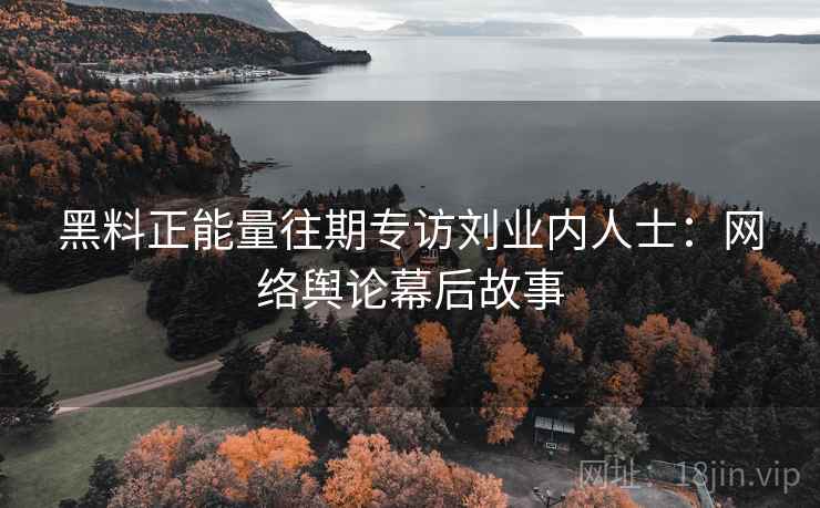 黑料正能量往期专访刘业内人士：网络舆论幕后故事
